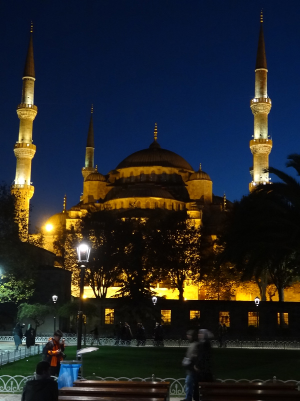 Blue Mosque at Night